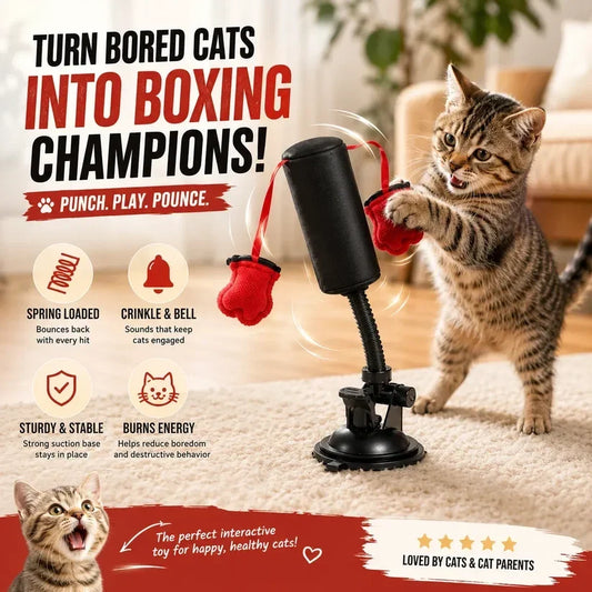 ✨LAST DAY 50% OFF ✨Interactive Cat Punching Bag Toy