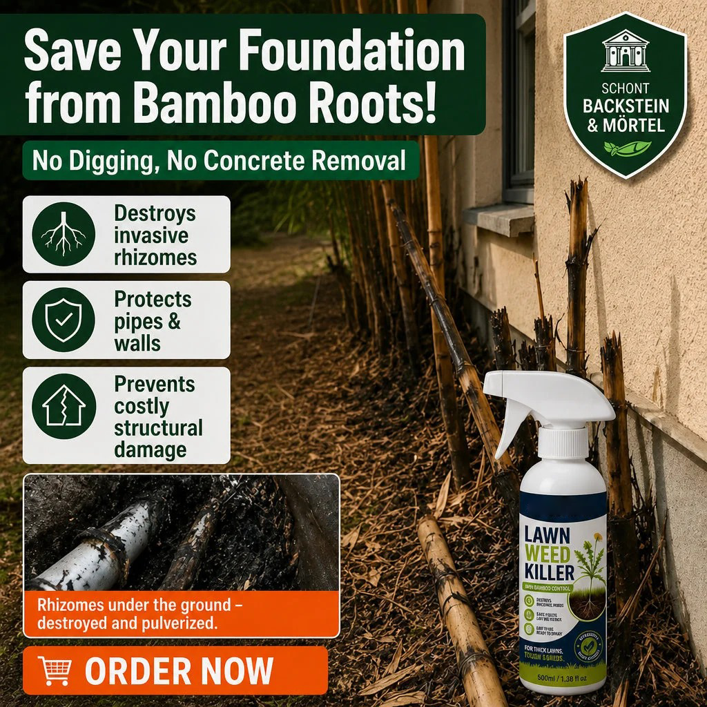 ⏳ FINAL 24 HOURS · 50% OFF🌿 Lawn Weed Killer – Fast & Easy Weed Removal